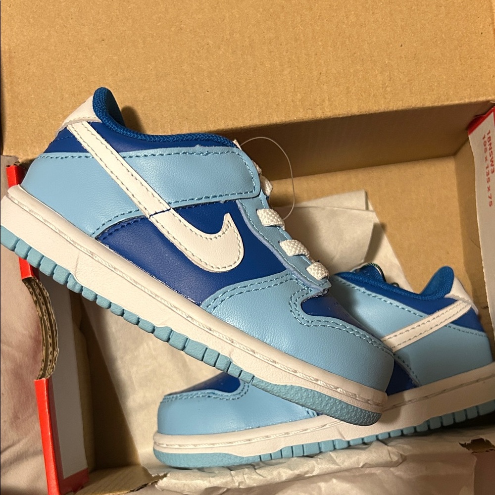 Nike argon dunks